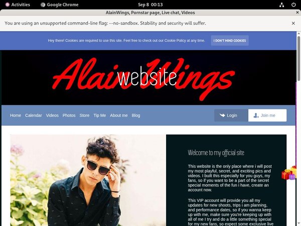 AlainWings Models
