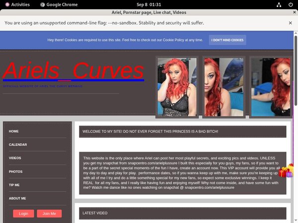 Ariel Episodes