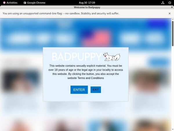 Bad Puppy Official Site