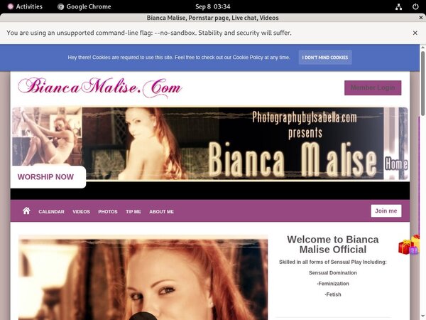 Biancamalise.modelcentro.com Pregnant