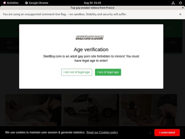 Boysket Premium Account