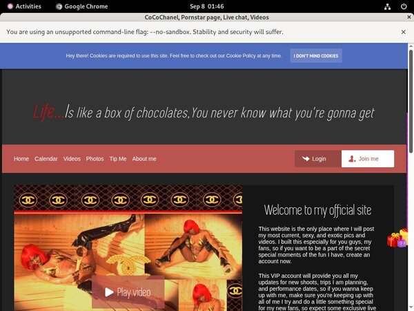 Cocochanel.modelcentro.com Working Pass