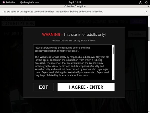 Collective Corruption Profile