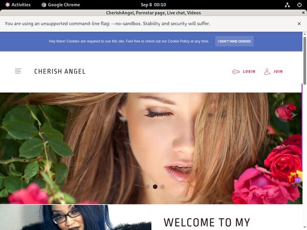 Com Modelcentro Cherishangel Passwords
