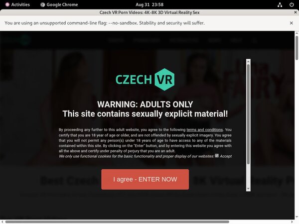Czech VR Porn Pictures