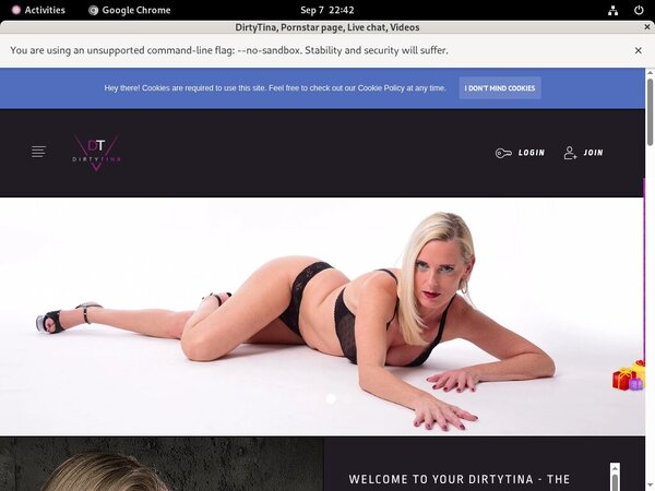 DirtyTina Discount Codes