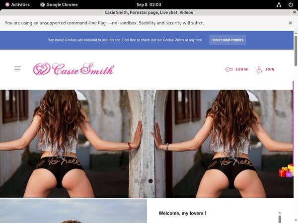 Free Casiesmith.modelcentro.com
