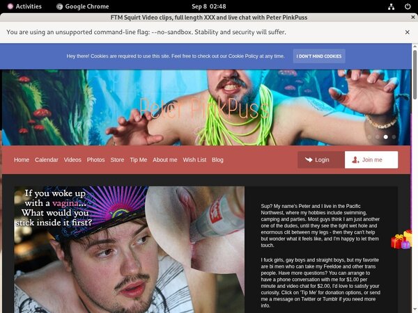 Free Peterpinkpuss Accounts And Passwords
