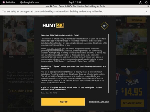 Free Working Hunt4k.com Accounts