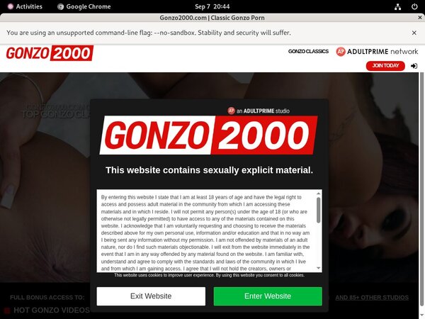 Gonzo 2000 Full