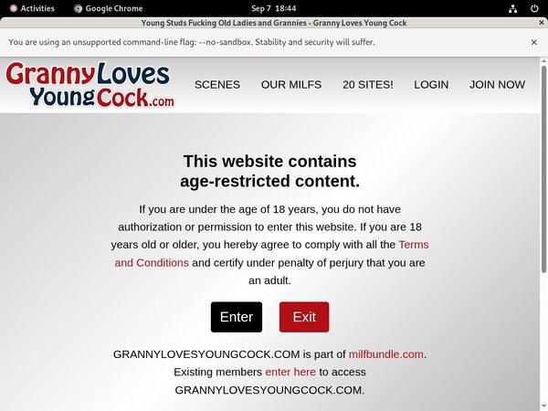 Granny Loves Young Cock Hd New