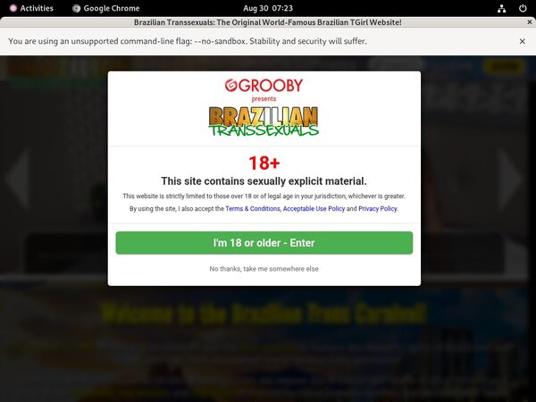 How To Get Into Brazilian-transsexuals.com Free