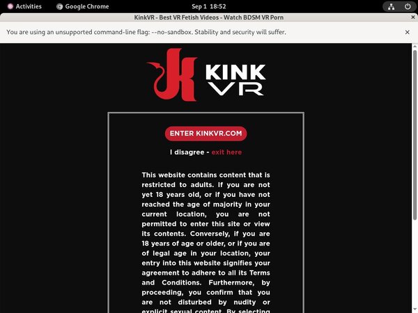 Kinkvr With Online Check