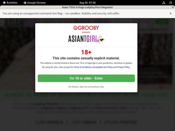 Ladyboy-ladyboy.com Passwords 2019