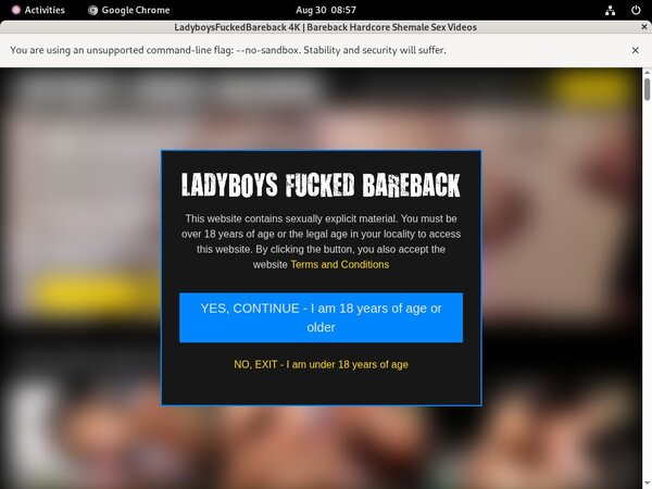 Ladyboysfuckedbareback.com Get Account