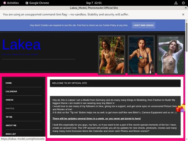 Lakea-model User Name Password