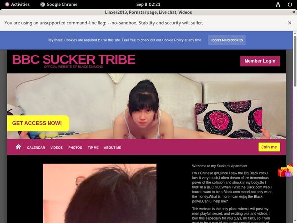 Linxer2013.modelcentro.com With Ukash