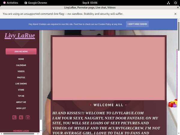 Livylarue.modelcentro.com Discount Form