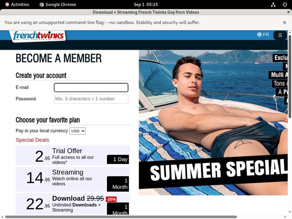 Login French-twinks.com For Free