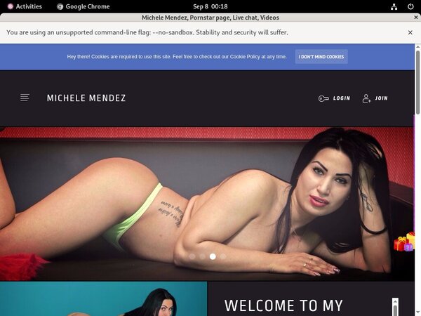 Michele Mendez Gxplugin (IBAN/BIC)