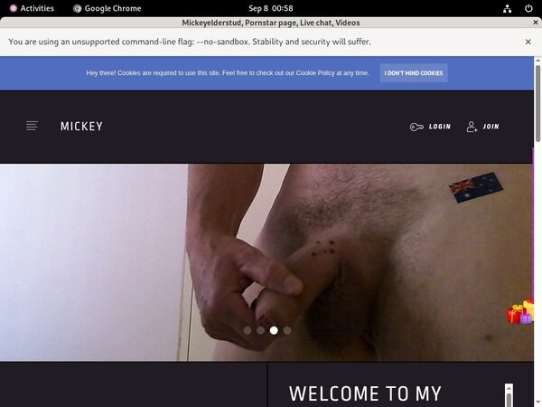 Mickeyelderstud Web Site