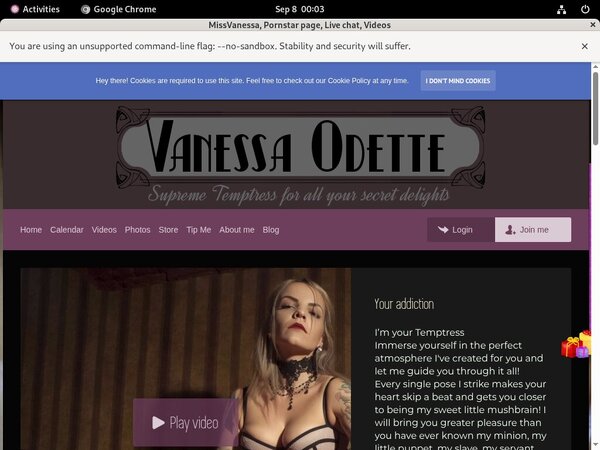 Missvanessa.modelcentro.com Pornstar