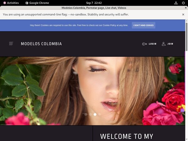 Modelos Colombia Using Discount