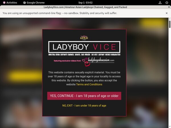 Offer Ladyboyvice