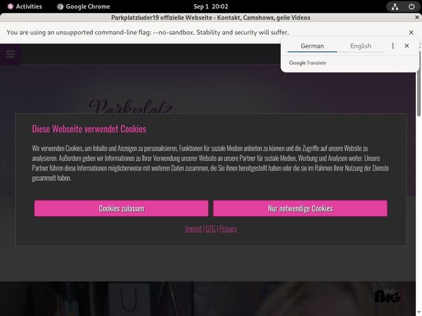 Parkplatzluder19.com Mit Sepa