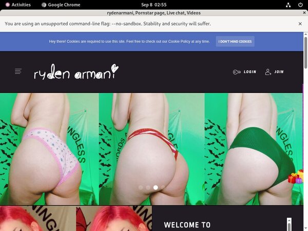 Password Free Rydenarmani