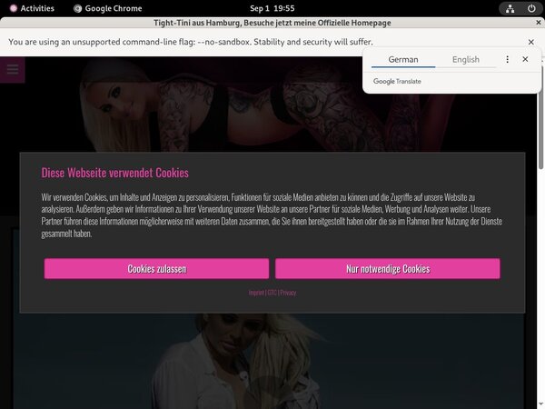 Paypal Tight Tini Com