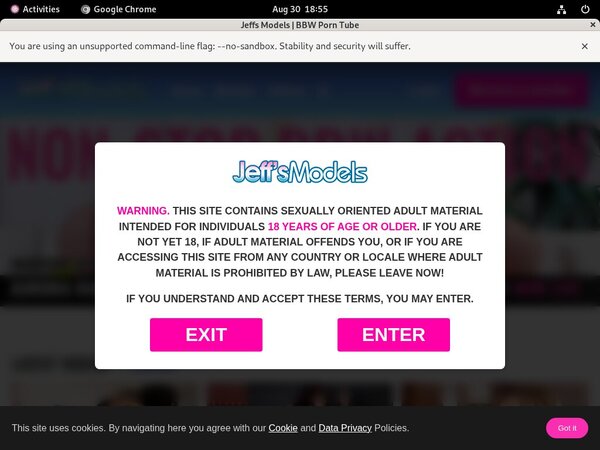 Premium Jeff's Models Site Rip