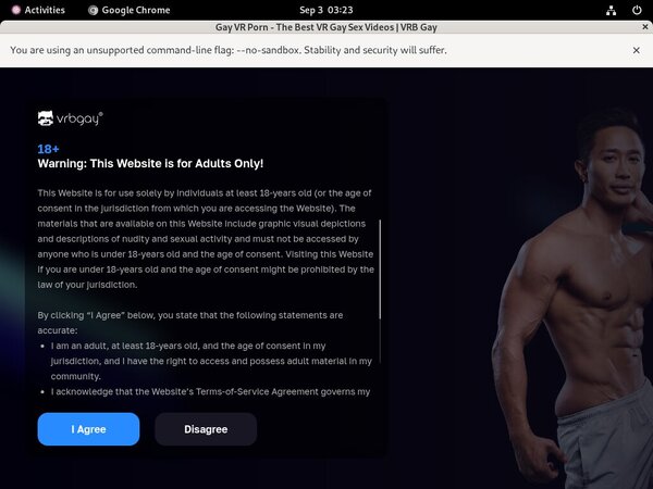 Premium VRB Gay Passwords
