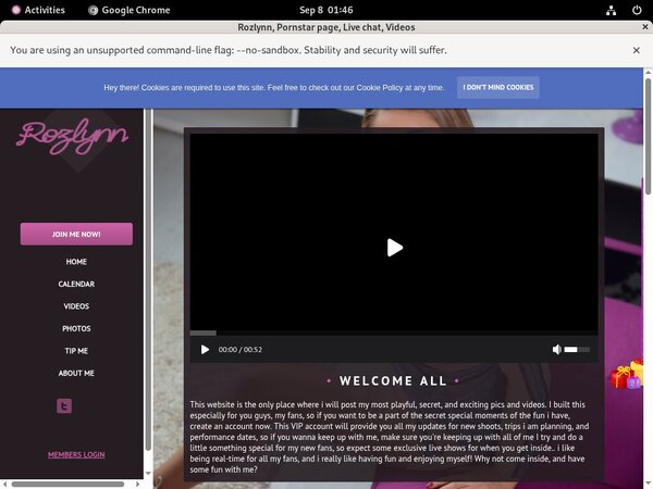 Rozlynn Accounts And Passwords