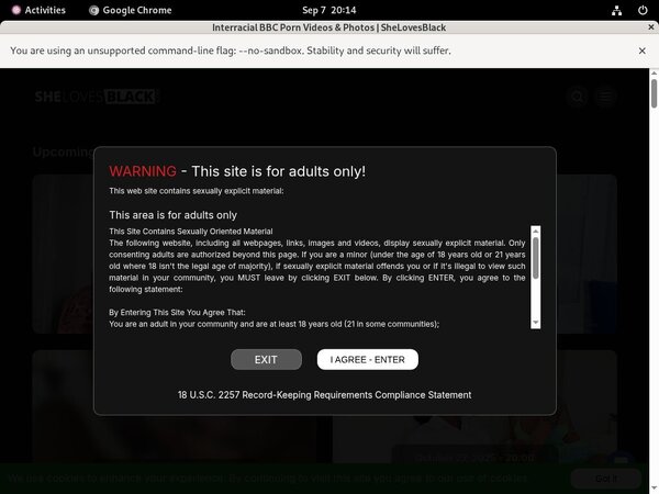 Shelovesblack Adult Passwords