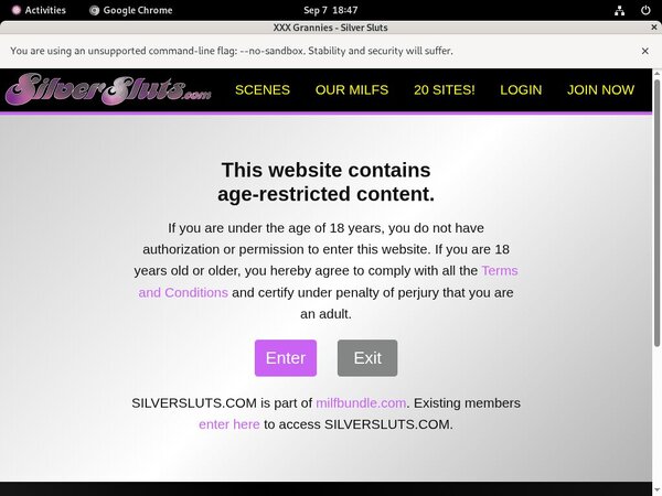 Silver Sluts Accounts
