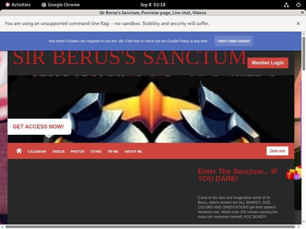 Sir Berus's Sanctum User Name Password
