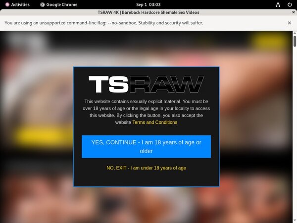 TS Raw Password Blog