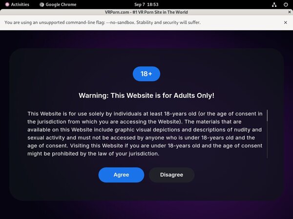 VR Porn Login Details
