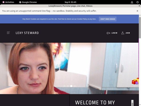 Valid LexxySteward Passwords