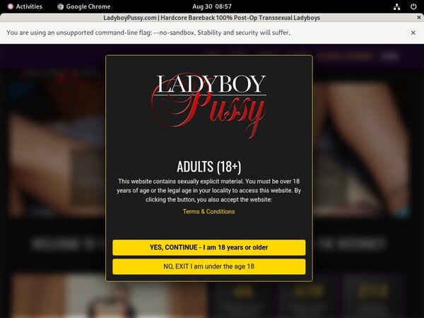 Ladyboy Pussy Logins For Free