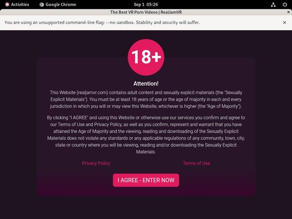 Realjamvr Discount Save