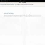 AmelieLBJlife With Bank Pay