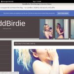 Free BaddBirdie Login Accounts