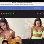 Niks Indian Org